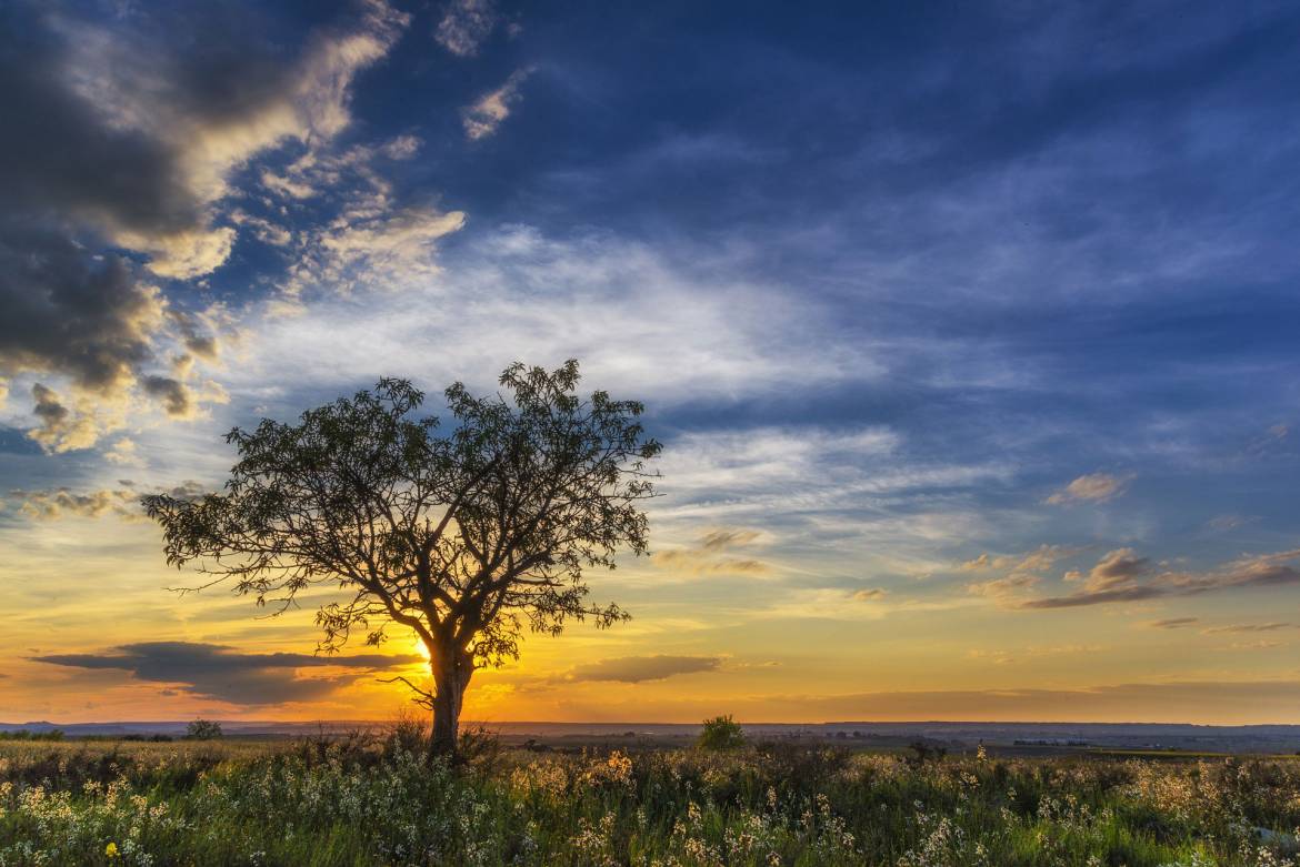 sunset.jpg